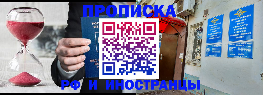 прописка 2025 в Щиграх